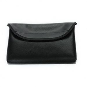 Carrying Case Primary Carrying Case Primary